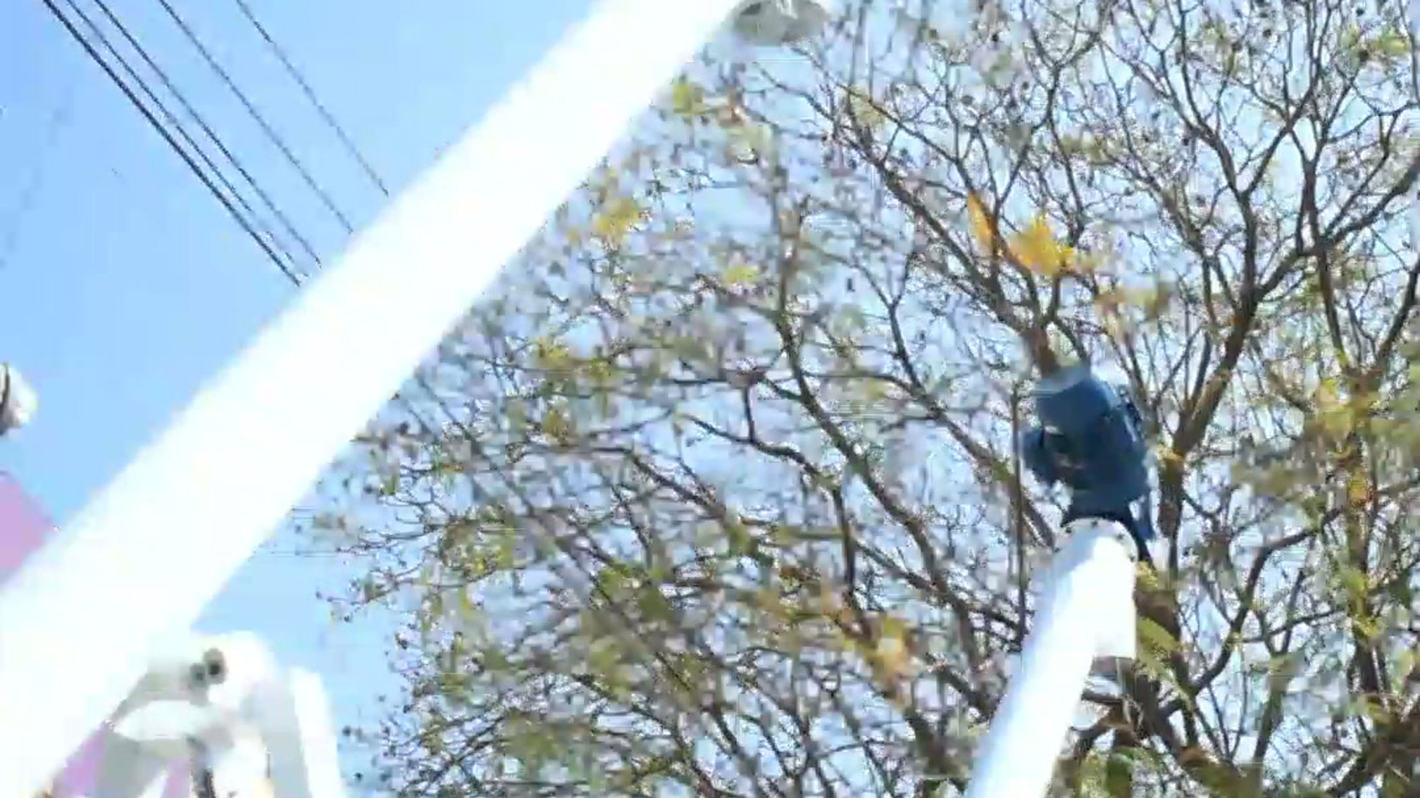 Transportadores Helicoidales Estandar